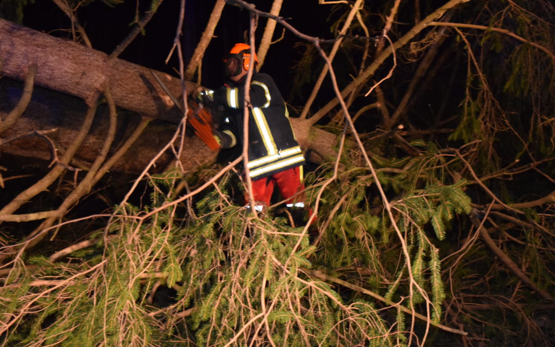 Sturmschaden L539 St. Wolfganger Straße